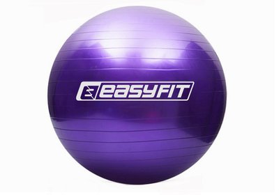 М'яч для фітнеса EasyFit 55 см EF-3006-V Violet EF-3006-V фото