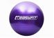 Мяч для фитнеса EasyFit 55 см EF-3006 Violet EF-3006-V фото 1