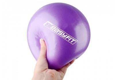 М'яч для пілатеса EasyFit 25 см EF-1221 Violet EF-1221 фото