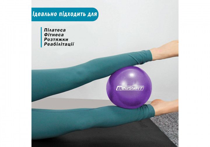 Мяч для пилатеса EasyFit 25 см EF-1221 Violet EF-1221 фото